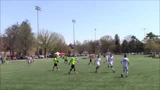 Alex Dalou Adidas Blue Chip 2016