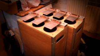 6 note lujon quick demonstration