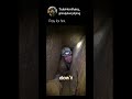 cave exploring is not fun at all. #horror #creepy #scary