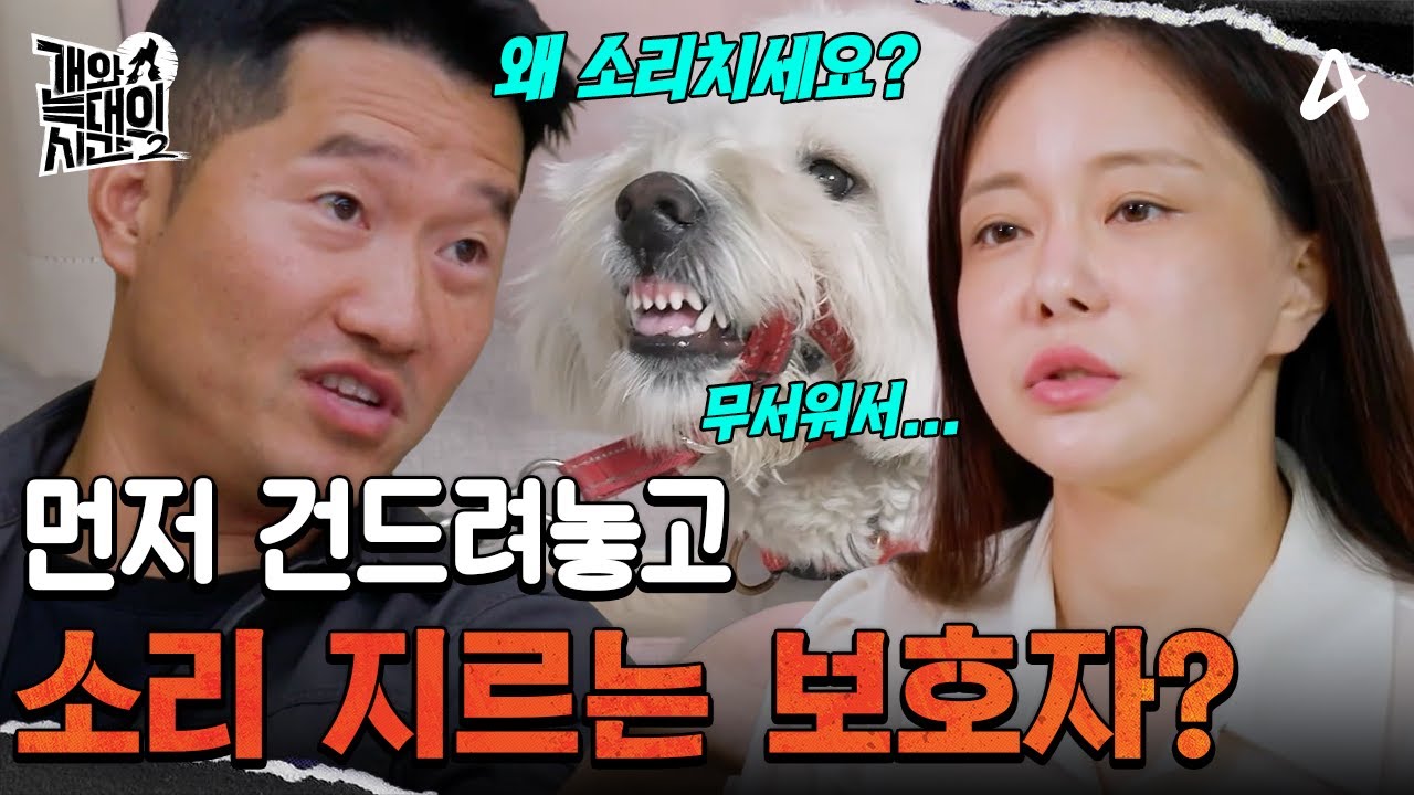"소리치면 효과가 있나요?" 먼저 건드려놓고 호통치는 보호자? | 개와 늑대의 시간2 31 회