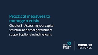 COVID-19 Response - Practical measures to manage a crisis - Chapter 3 - Assessing capital structure