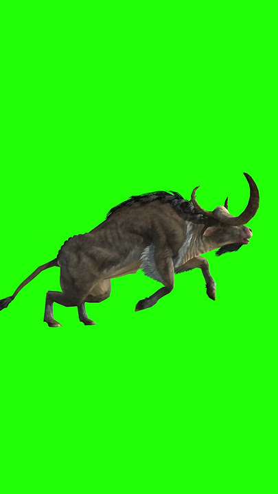 3D Animated Animals Running Green Screen For Editing For Free