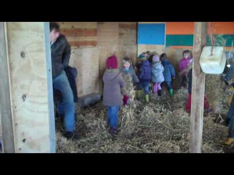 kinderfeestje kamelenboerderij Hoeve Borago.MP4