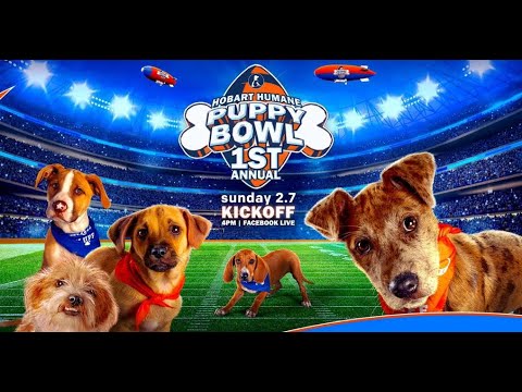 2021 HSH Puppy Bowl Pre-Game - YouTube