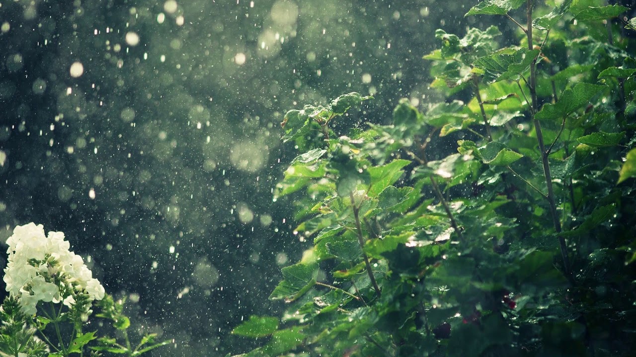 Rain Sound White Noise for Relaxation Meditation, 5 min