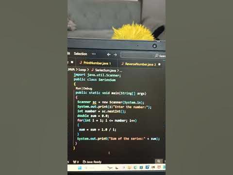 Series Sum Code || Java Program 💻#codenock #code#java#javaprogramming# ...