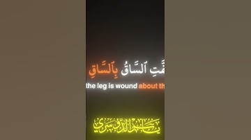 سورة القيامة بصوت الشيخ ياسر الدوسري ❤️🌹 #ياسر_الدوسري #اكسبلور #المصحف #يصلك