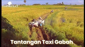 TAXI GABAH FULL OF CHALLENGES ONLY IDR 18,000 /Sack