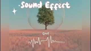 Sound Effect Crot || 1D  Music Stereo