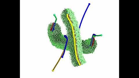 Tensor Field Design in Volumes