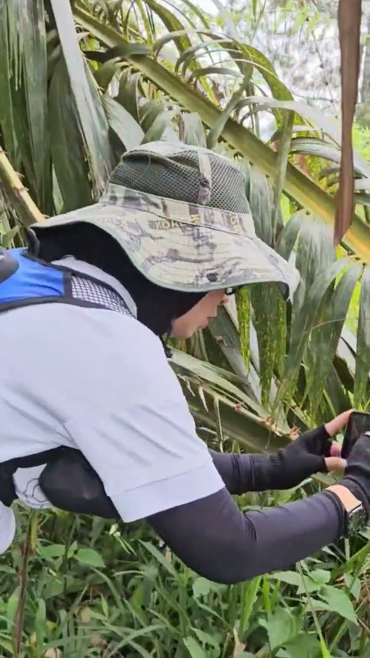 Ratu Cantik Periksa Pohon Unik