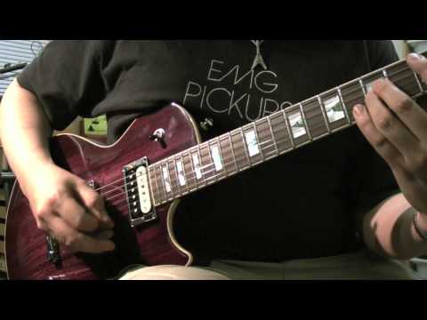 Feline Korina Lion with BKP VH2s