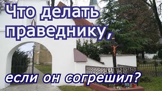 Что делать праведнику, если он согрешил?