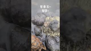 #해루질 #낚시 #캠핑 #여행 #먹방 #삼겹살 #카페