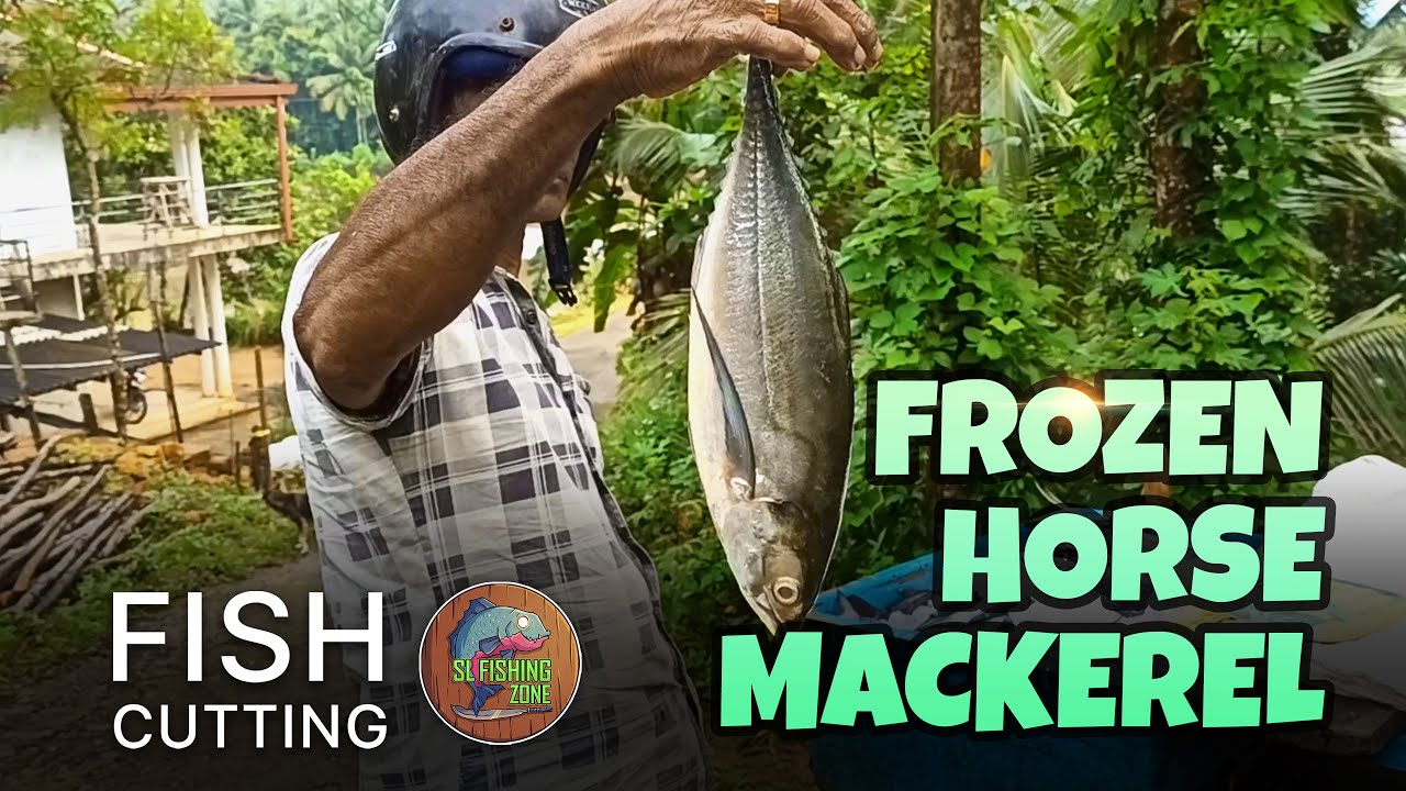 Grandpa Fish slicing Skills🔥🔥🔥| Frozen Horse Mackerel Fish