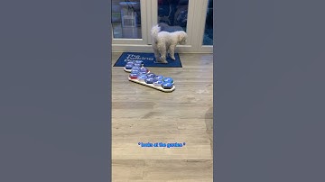 Kenny uses talking buttons after checking what the weather is like outside