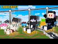 We Played The Amazing ZIP LINE in Minecraft ( Tagalog )
