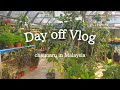 What a delicious dim sum!/I went to a local plant nursery in Malaysia/マレーシアのローカル植物屋さん/点心を食べる