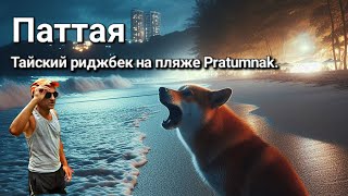 Паттая: Тайский риджбек на ночном пляже Пратамнак| Путешествие в Таиланд.