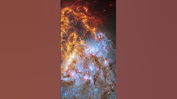 Unveiling a Hidden Bar-like Structure in NGC 1087 #shorts