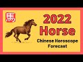 🐎2022 Horse | Chinese Horoscope Forecast | Chinese Astrology | Wealth, Career, Health & Love