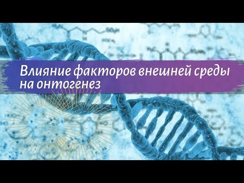 Биология 9 класс Пасечник $14 Влияние факторов внешней среды на онтогенез