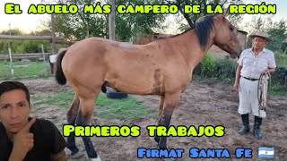 ⚠️‼️ ¿COMO DOMAR UN POTRO DESDE 0 ? CON EL ABUELO MAS CAMPERO ✅️#caballos