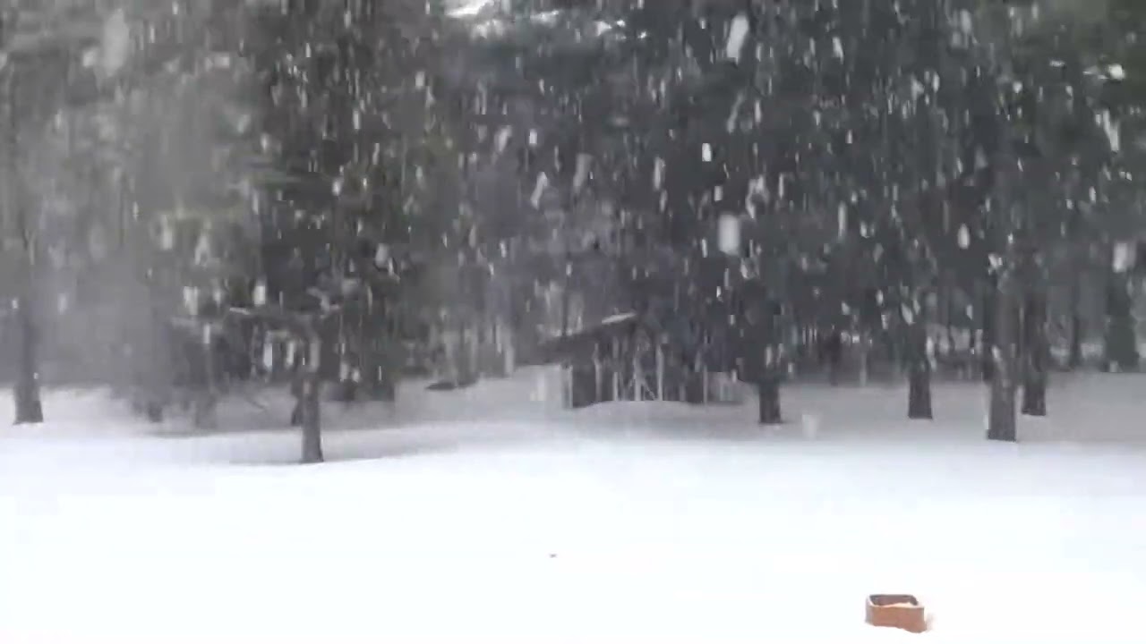 Eloquence, what is it, how to have it, work on it?