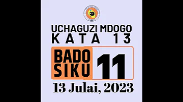 UCHAGUZI MDOGO WA MADIWANI KATA 13 Bado Siku Moja Kupiga Kura Tarehe 13 Julai 2023 