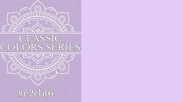 [LIGHT LILAC] — 4K Solid Color Background (1 Hour Loop) | Digital Visual Display