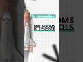 Streamlining Mailrooms in Schools