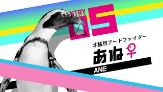 会いにいけるペンギン！「LOVE推しペン超選挙」開催！！　京都水族館【公式】 47 アイボ ルー 初の水族館 In Kyoto Aibo Lou Goes To The Kyoto Aquarium