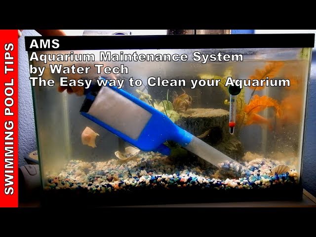 Aquarium Xpress, Install, Design, Maintenance