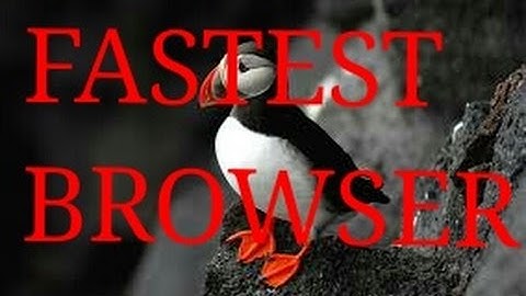 The fastest Browser in Android puffin