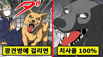 [실화]광견병에 걸리면 치사율100%!! 광견병에 걸린 사람이 일으키는 증상은?[만화][영상툰]