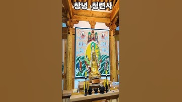 🤯 죽음을 앞둔 사람들이 가장 간절히 후회하는 세 가지!/ #좋은글/ #인생조언