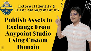 #6: Publish Assets to Exchange from Anypoint Studio using Custom Domain | Salesforce | Mule4