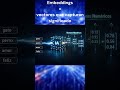Embeddings en acción #python #programming #inteligenciaartificial #inteligenciaformativa #dotnet