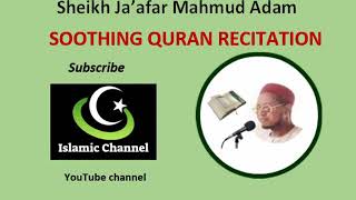 Soothing Quran Recitation by Sheikh Ja'afar Mahmud Adam screenshot 3