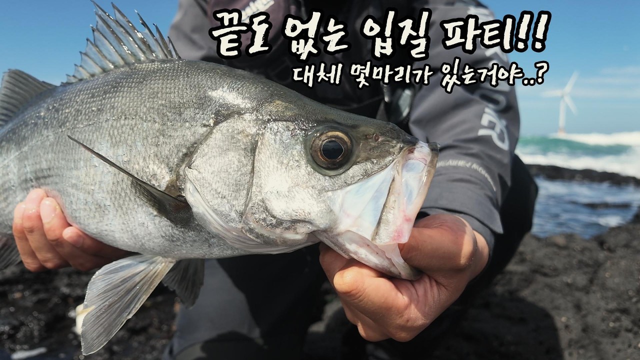 수심 1m, 파도가 치는 곳에는 엄청난 고기들이 숨어있었다