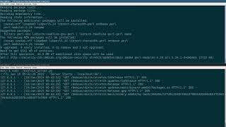 MiTM attack in APT Linux Package Manager Demo