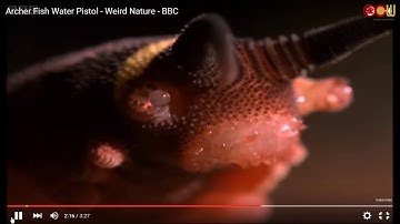 Lec18 高分子物理 L11: Polymer Surfaces & Interfaces (2/2)