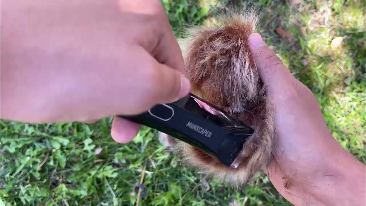 MANSCAPED™ Summer Swamp Crotch YouTube