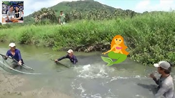 KÉO CÁ CHẼM 13 KG TRONG VUÔNG TÔM