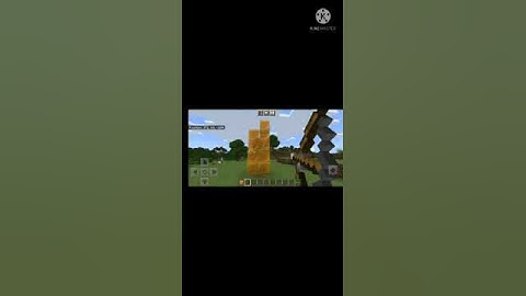 Honey Block Glitch In Minecraft