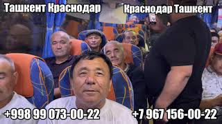 ташкент-краснодар автобус, Ташкент ростов-на-дону автобус, краснодар-ташкент автобус, ростов-ташкент