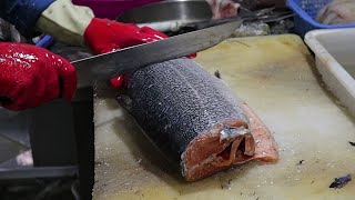 120 $ Big Salmon Cutting Filleting SKILLS BY Sharp knife