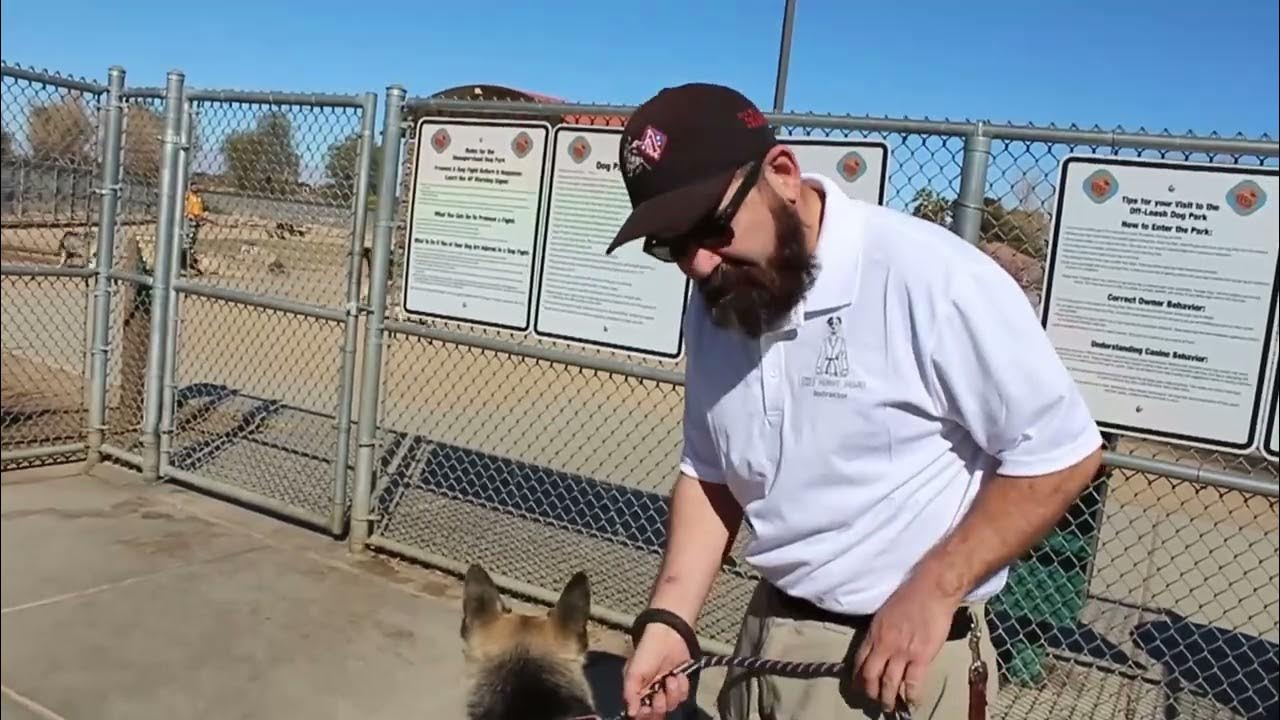 The Doggy Dojo. Martial Arts for your dog. Are dog parks good or bad