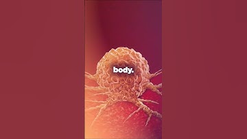 The smallest computer ever made