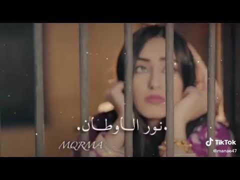 تراني حيل مشتاق